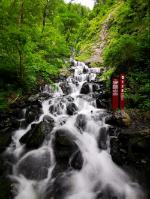 此清单包含:真丝的衣衫、从巴黎到鲁昂的旅行、熟化的卡芒贝尔奶酪、“美学”,以及一场永恒的梦